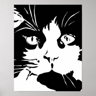 Póster Poster de gato blanco y negro