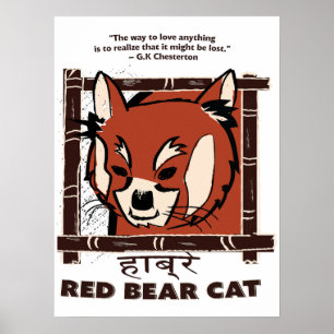 Póster Poster de gato de oso rojo
