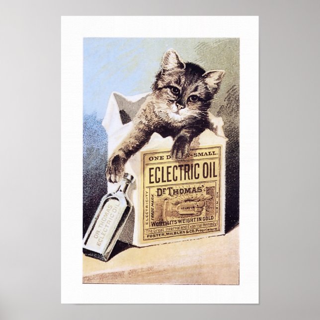 Póster Poster de Gatos de Aceite Eléctrico (Frente)