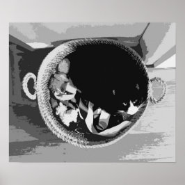 Póster Poster de gatos de cesta