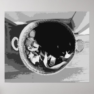 Póster Poster de gatos de cesta