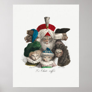 Póster Poster de gatos de vintage