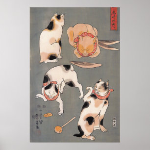 Póster Poster de gatos en juego