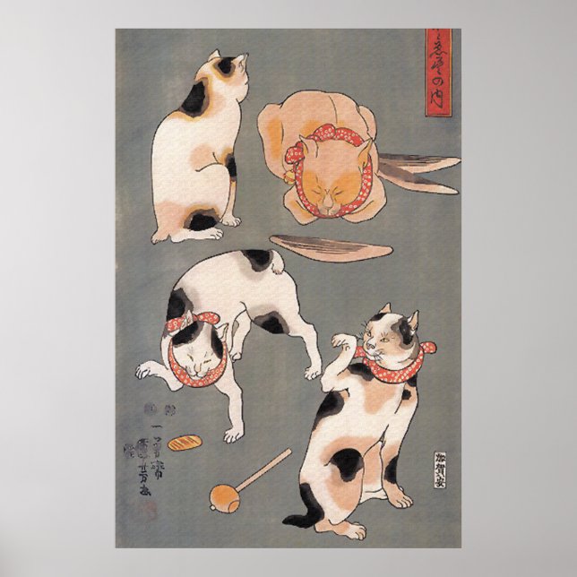 Póster Poster de gatos en juego (Frente)