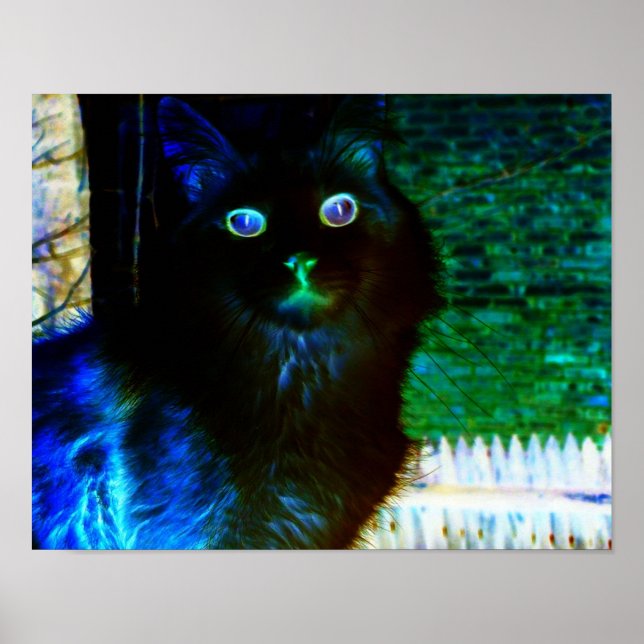 Póster Poster de gatos fantasmal (Frente)