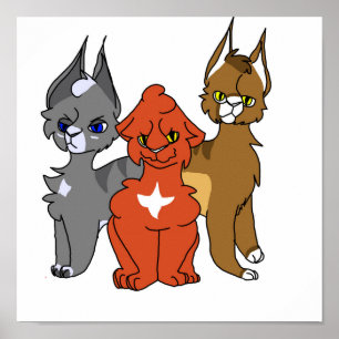 Póster Poster de gatos medicinales