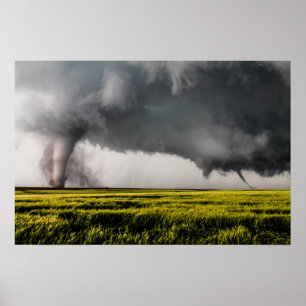 Póster Poster de gemelos