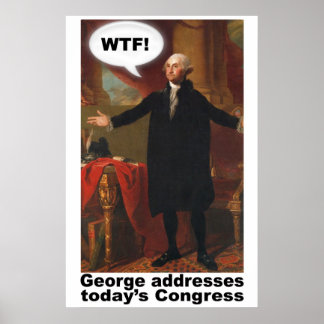 Póster Poster de George Washington WTF (con subtítulo)