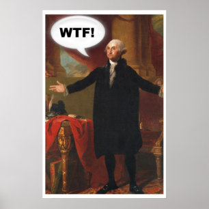 Póster Poster de George Washington WTF (sin subtítulo)