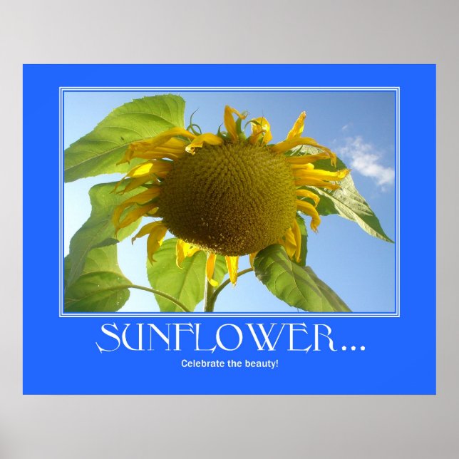 Póster Poster de girasol (Frente)