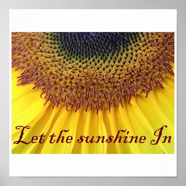 Póster Poster de girasol (Frente)