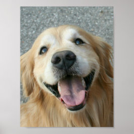 Póster Poster de Golden Retriever sonriente
