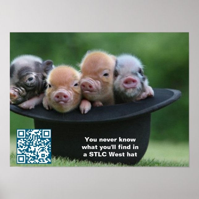 Póster POSTER de Gorra occidental de STLC (Frente)