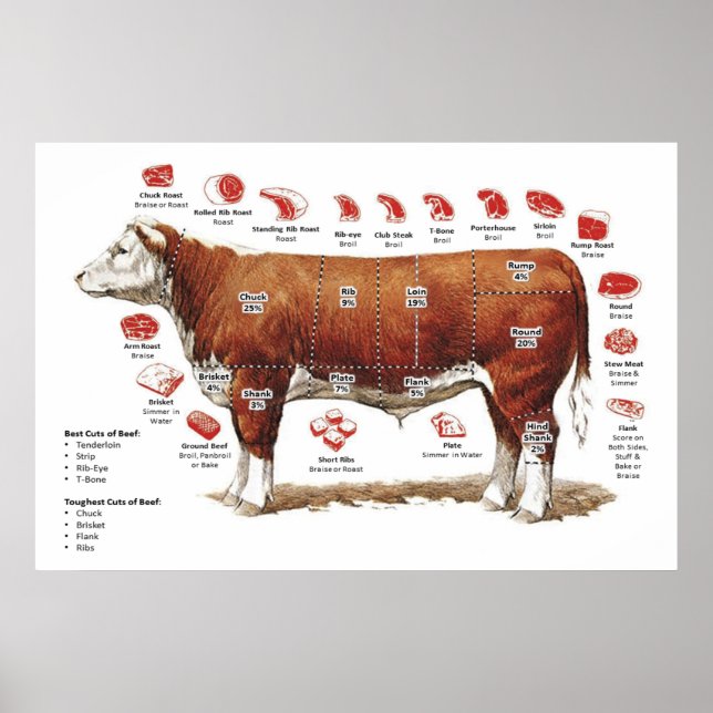 Póster Poster de gráfico de cortes de carne (Frente)