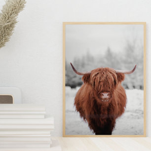 Póster Poster de granja rústica Highland Cow Scotland