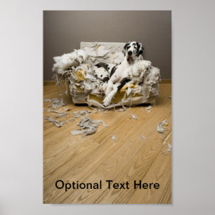 Póster Poster de great dane