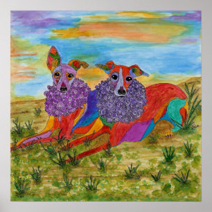 Póster Poster de Greyhounds italiano de 19" x 13" (Person