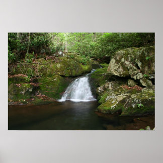 Póster Poster de grupo de Guay