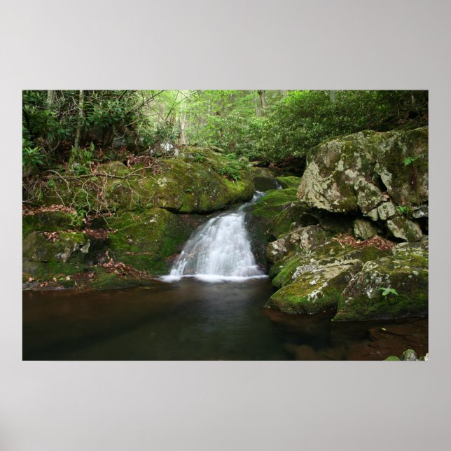 Póster Poster de grupo de Guay (Frente)