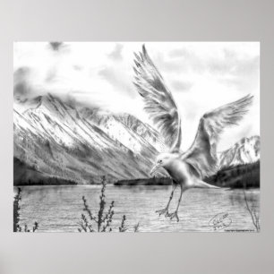 Póster Poster de Gull and Mountains