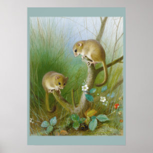 Póster Poster de habitación para niños con licencia CC012