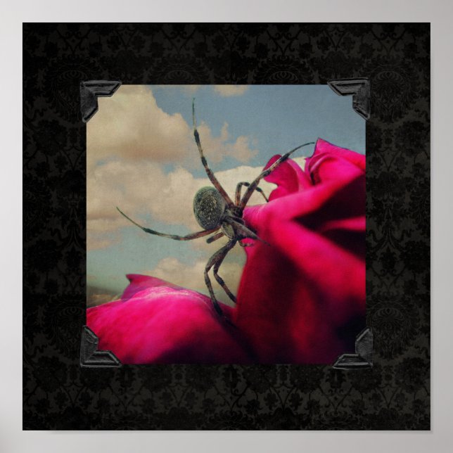 Póster Poster de Halloween de Spider and Red Rose (Frente)