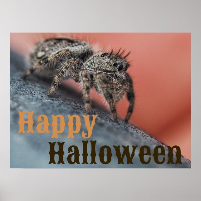 Póster Poster de Halloween de Spider Spooky (Frente)