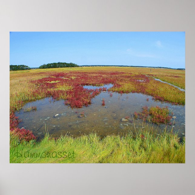 Póster Poster de Hammonasset (Frente)