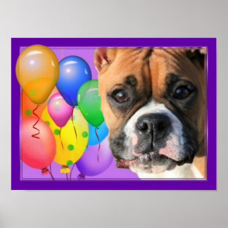 Póster Poster de Happy Birthday Boxer