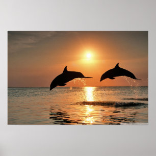 Póster Poster de Happy Morning Wall
