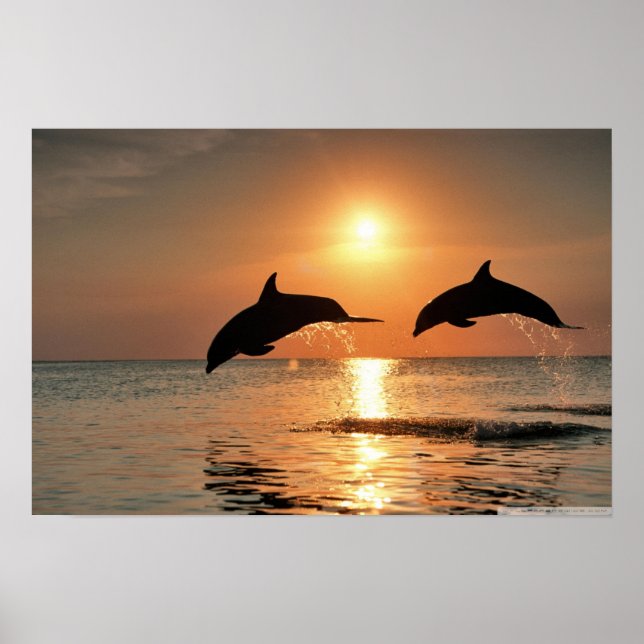 Póster Poster de Happy Morning Wall (Frente)