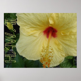 Póster Poster de Hawai hibiscus