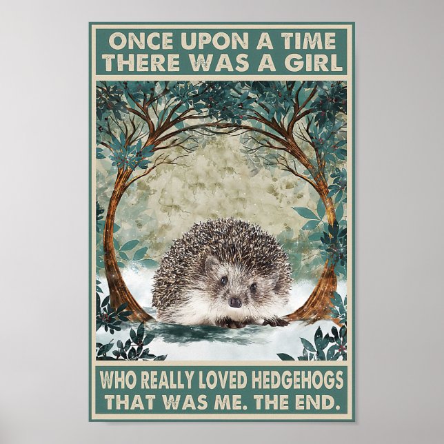 Póster Poster De Hedgehog De Una Vez A La Hora Imprimir D (Frente)