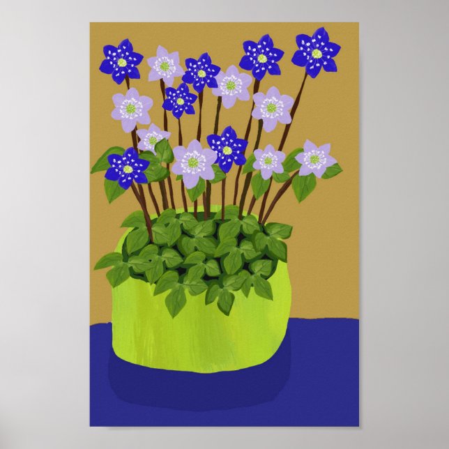 Póster Poster de Hepatica (Frente)