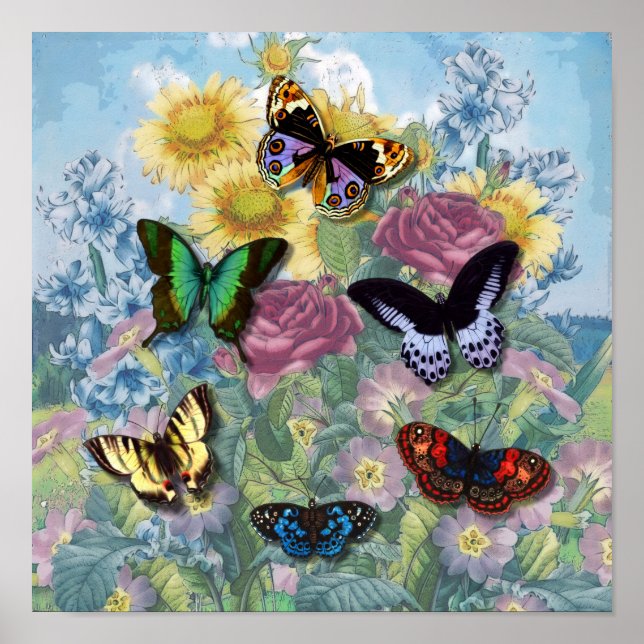 Póster Poster de "Hermosas Mariposas" (Frente)