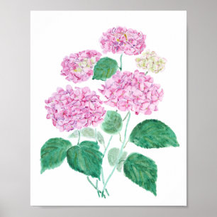 Póster poster de hidrangea rosa