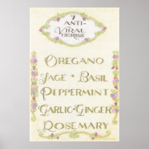 poster de hierbas antivirales