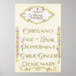 Póster poster de hierbas antivirales