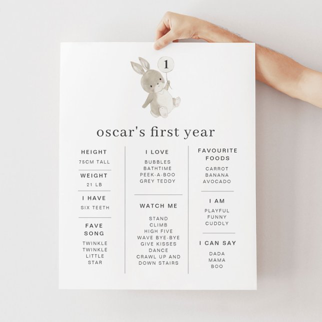 Póster Poster de hitos de globo de conejo (Subido por el creador)