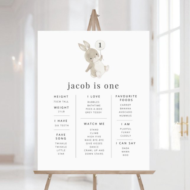 Póster Poster de hitos de globo de conejo (Subido por el creador)