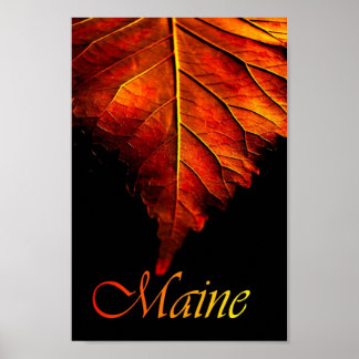 Póster Poster de hojas de otoño | Poster de hojas de otoñ