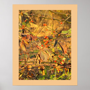 Póster Poster de hojas de otoño y bayas