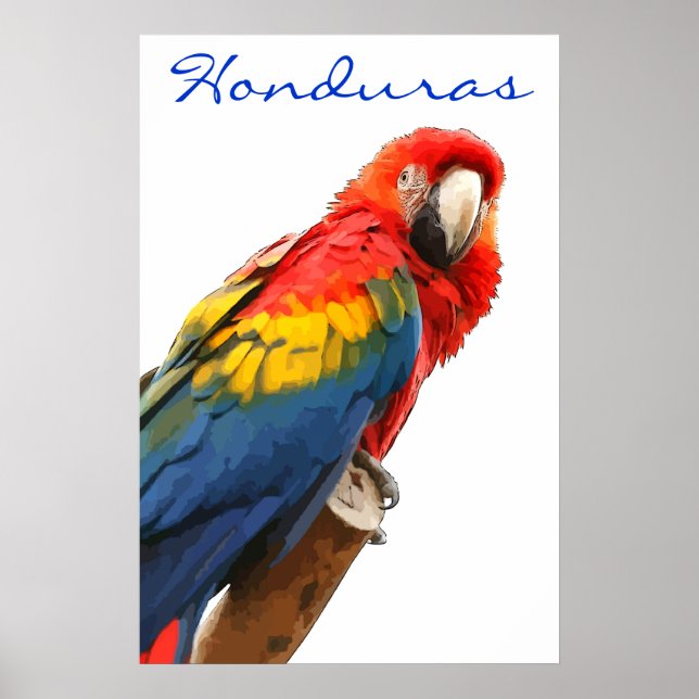 Póster Poster de Honduras Scarlet Macaw (Frente)