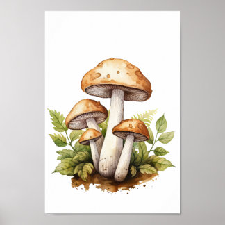 Póster Poster de hongos botánicos, pintura acuarela