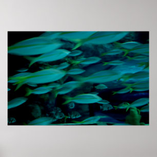 Póster poster de "Hora Rusa"