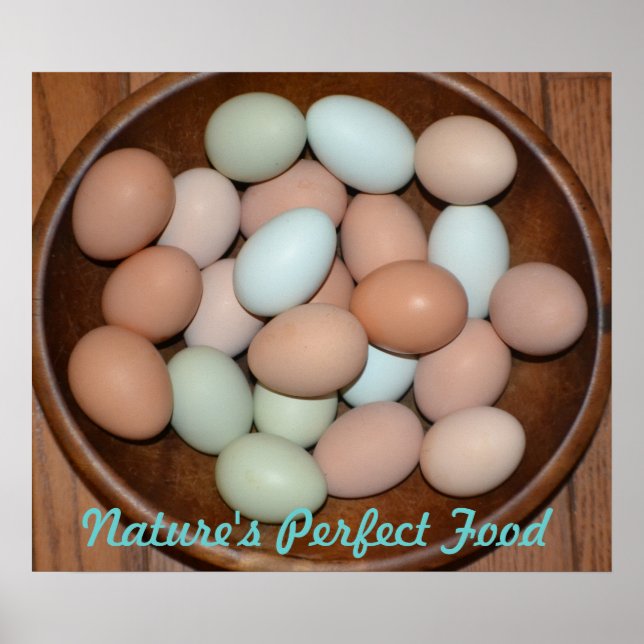 Póster Poster de Huevos Nutritivos (Frente)