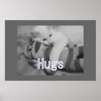 Póster Poster de Hugs Kitty