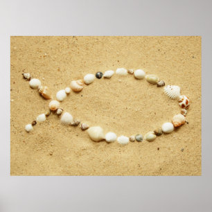 Póster Poster de Ichthys del Seashell