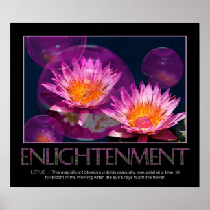 Póster Poster de iluminación - Waterlily - Lotus
