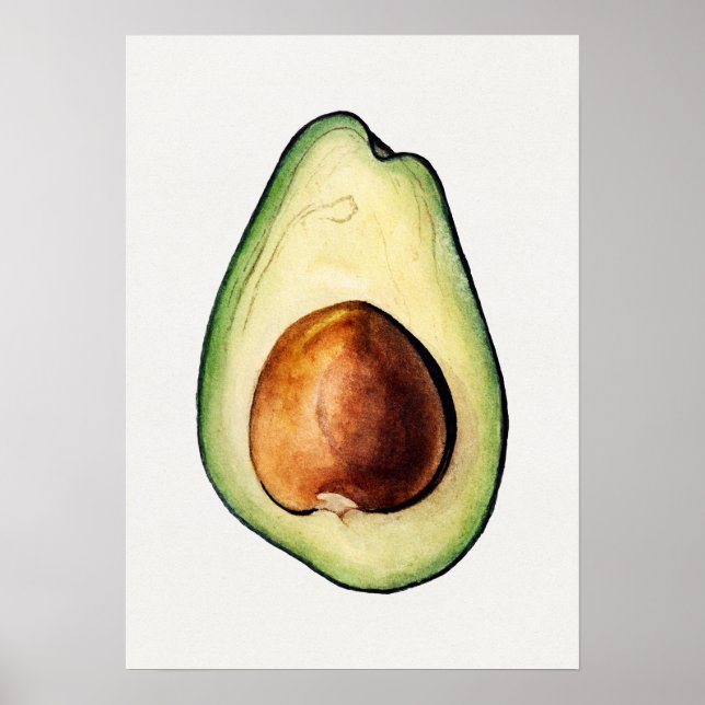 Póster Poster de Ilustracion botánico (Frente)